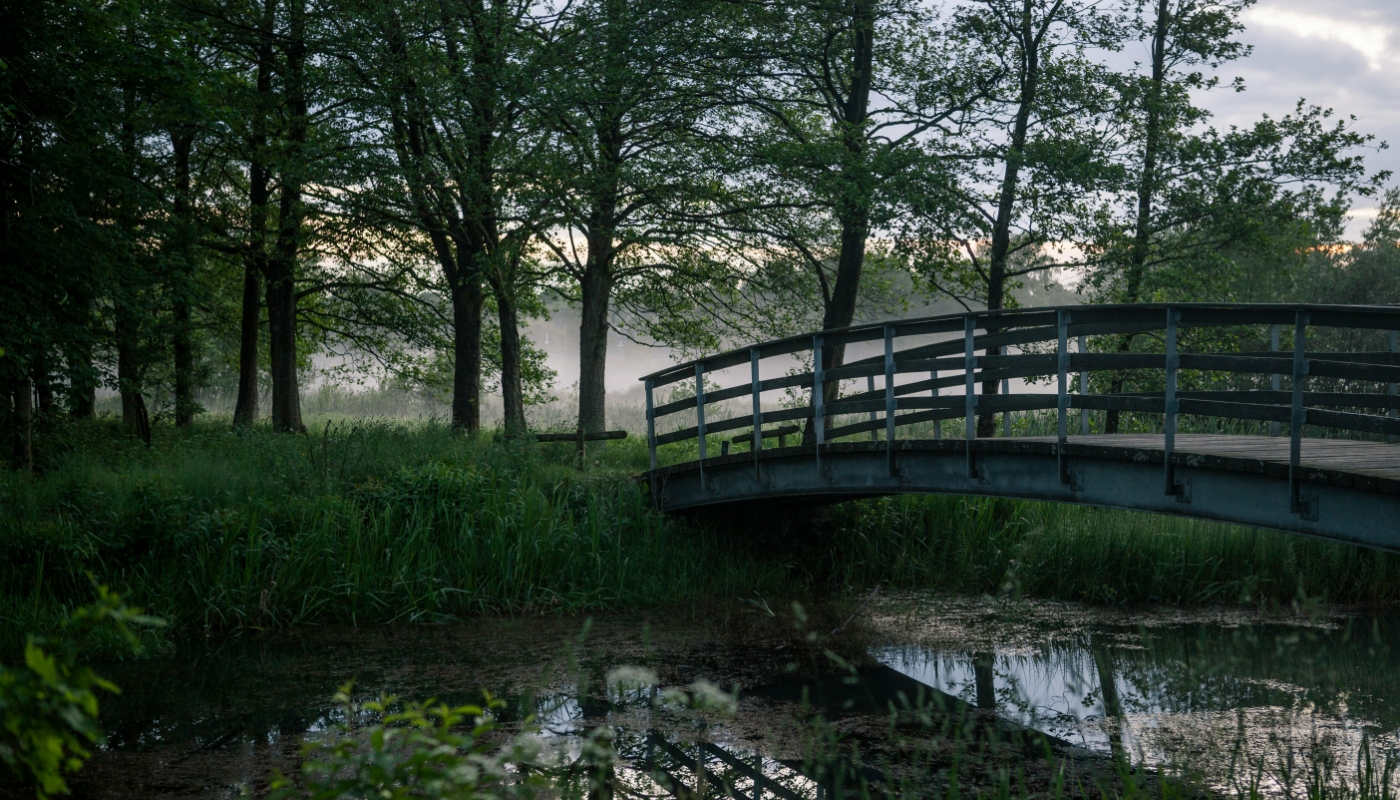 Hvad er et nedsparingslån – og hvad koster det